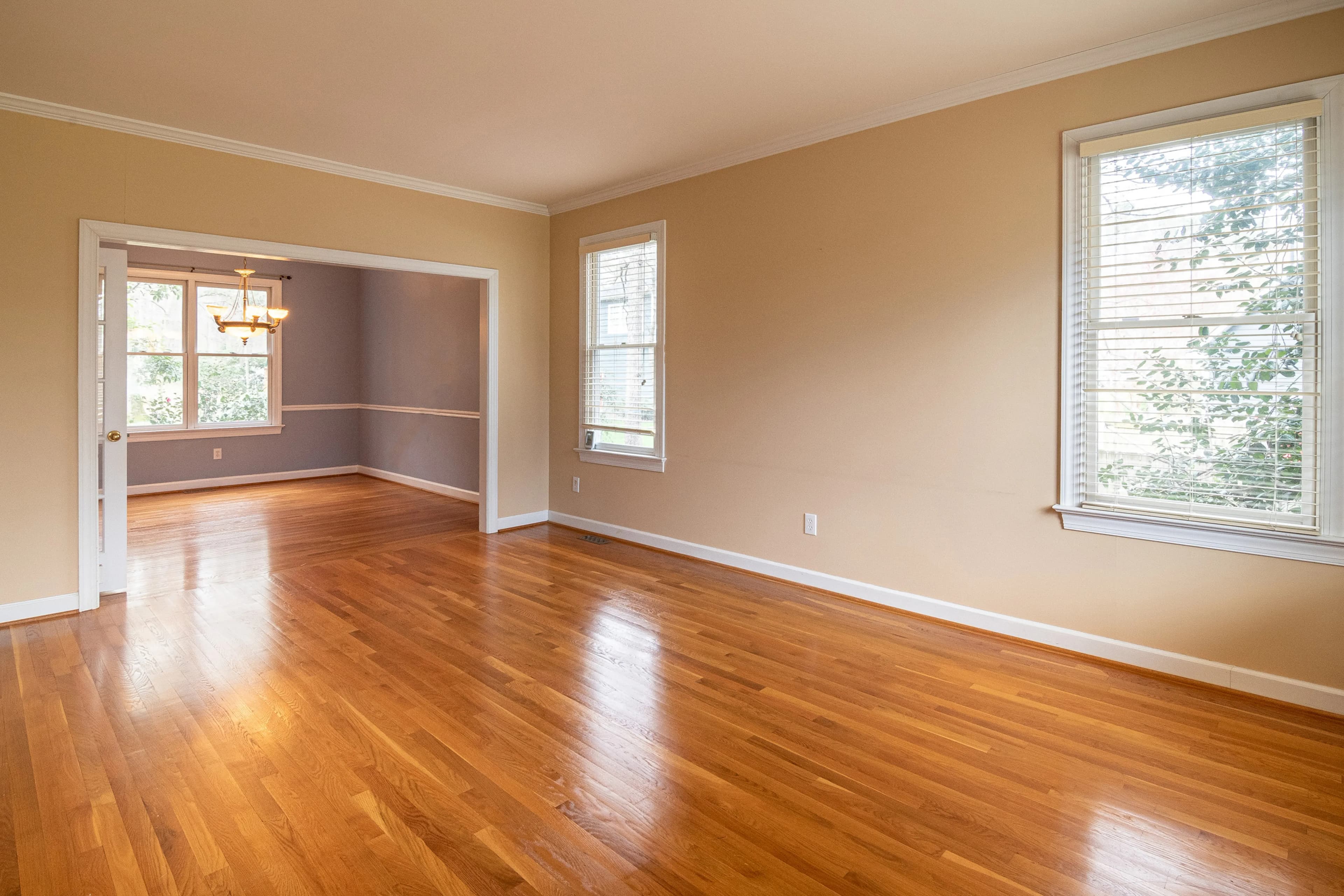 Bright empty room with timber floor and large windows
